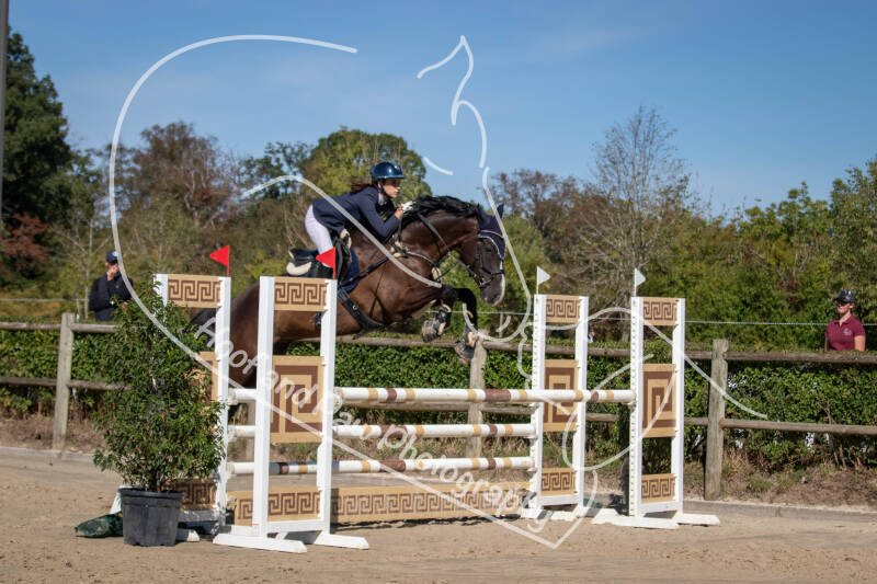 bouferterhaff-jumping-82-standard-5xhf58.jpg