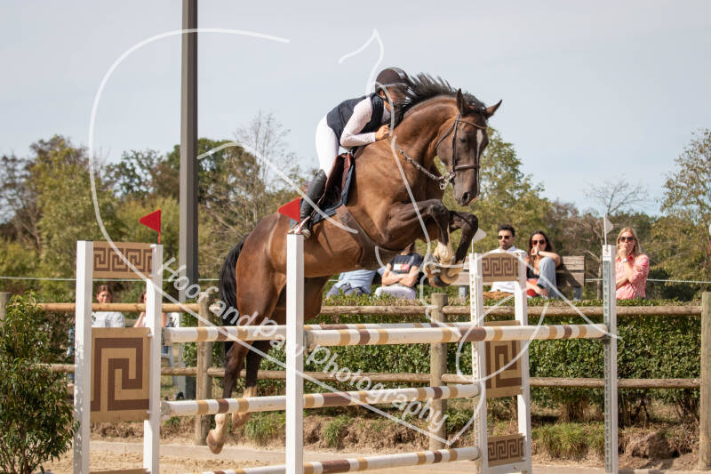 bouferterhaff-jumping-82-standard-b00sq9.jpg