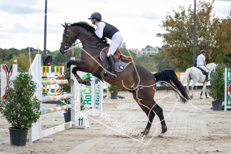 bouferterhaff-jumping-82-standard-fng4s0.jpg