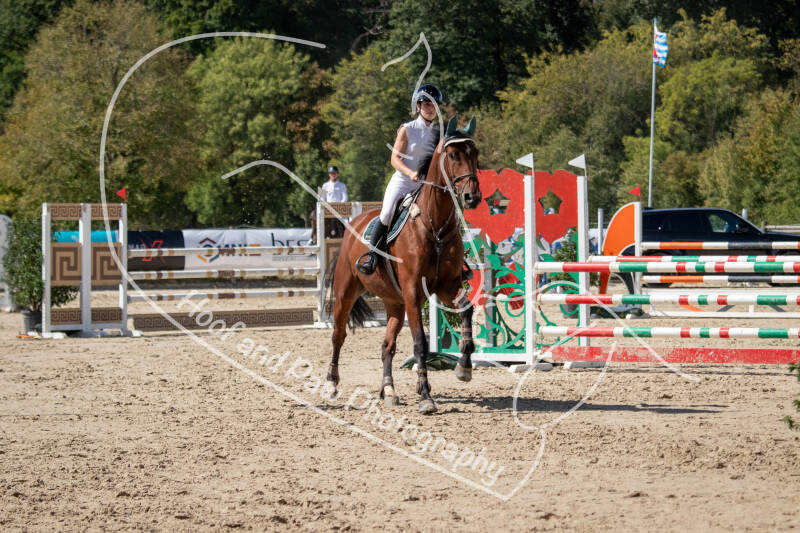 bouferterhaff-jumping-82-standard.jpg