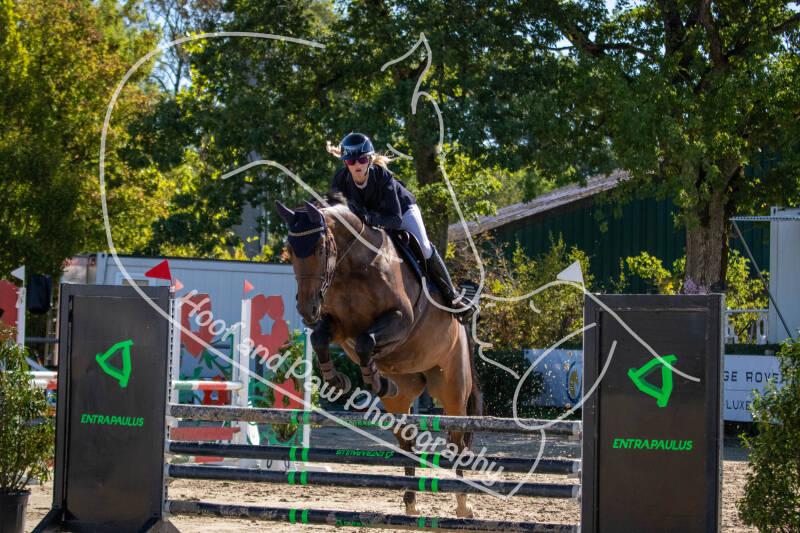 bouferterhaff-jumping-83-standard-9d6507.jpg