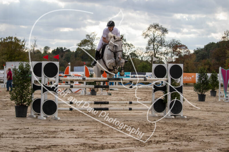 bouferterhaff-jumping-83-standard-jqgy3k.jpg