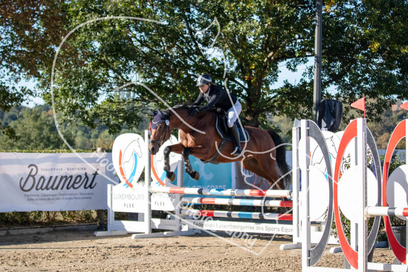 bouferterhaff-jumping-83-standard-puzfdh.jpg