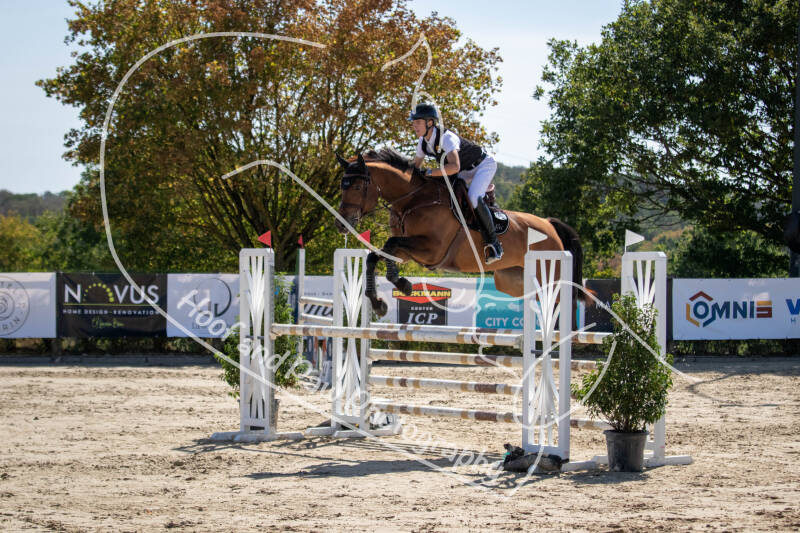 bouferterhaff-jumping-83-standard-wxoy9r.jpg