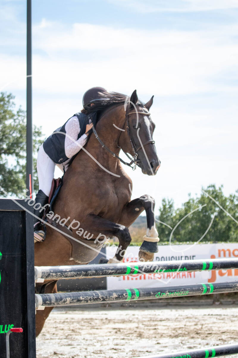 bouferterhaff-jumping-83-standard-zh2360.jpg