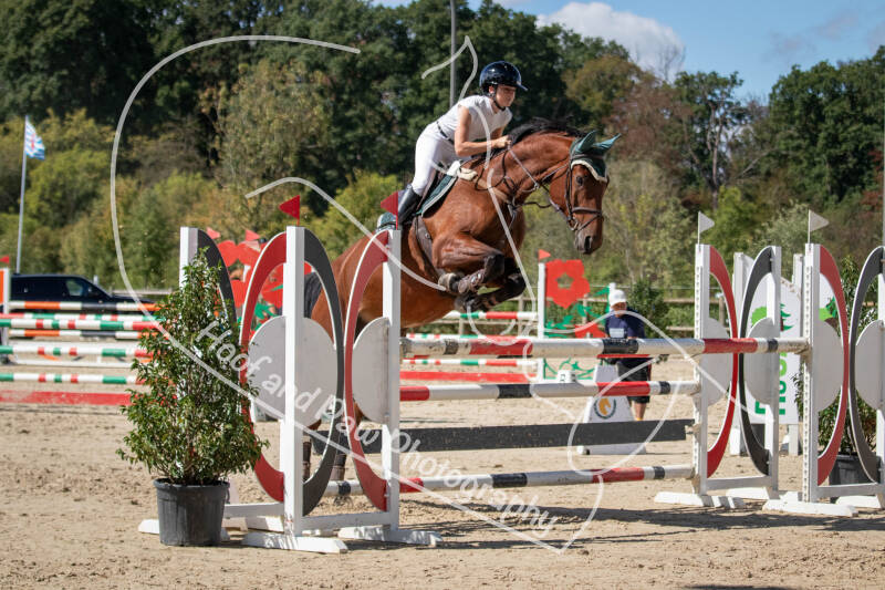 bouferterhaff-jumping-83-standard.jpg