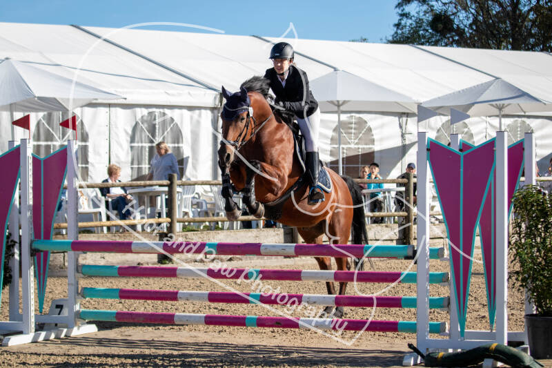 bouferterhaff-jumping-84-standard-2t8dqh.jpg