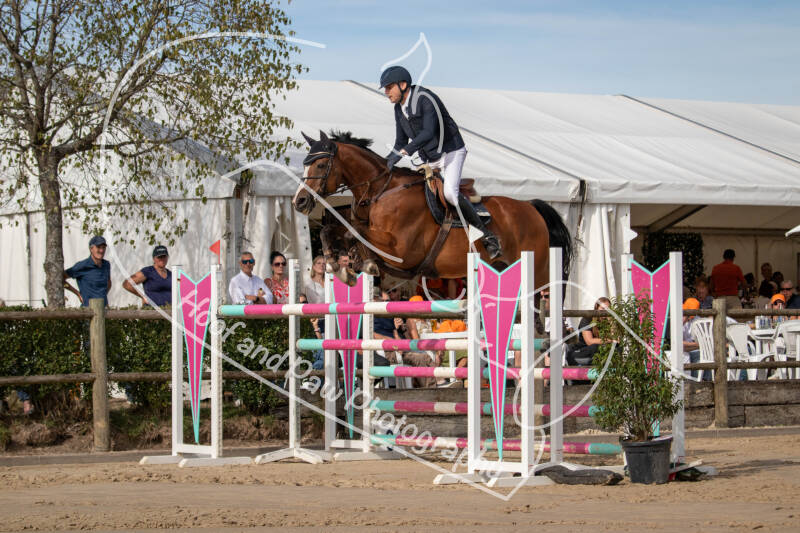 bouferterhaff-jumping-84-standard-4w6nds.jpg