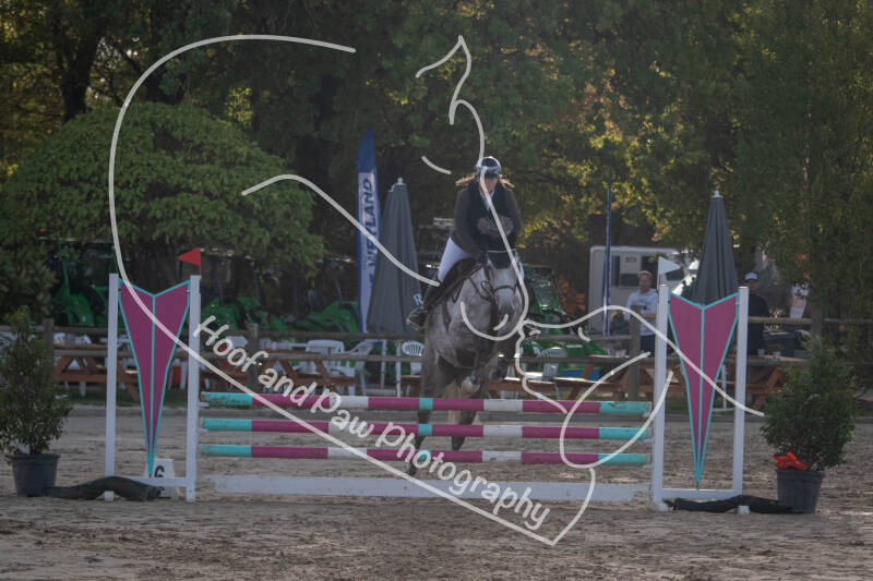 bouferterhaff-jumping-84-standard-eee7gf.jpg
