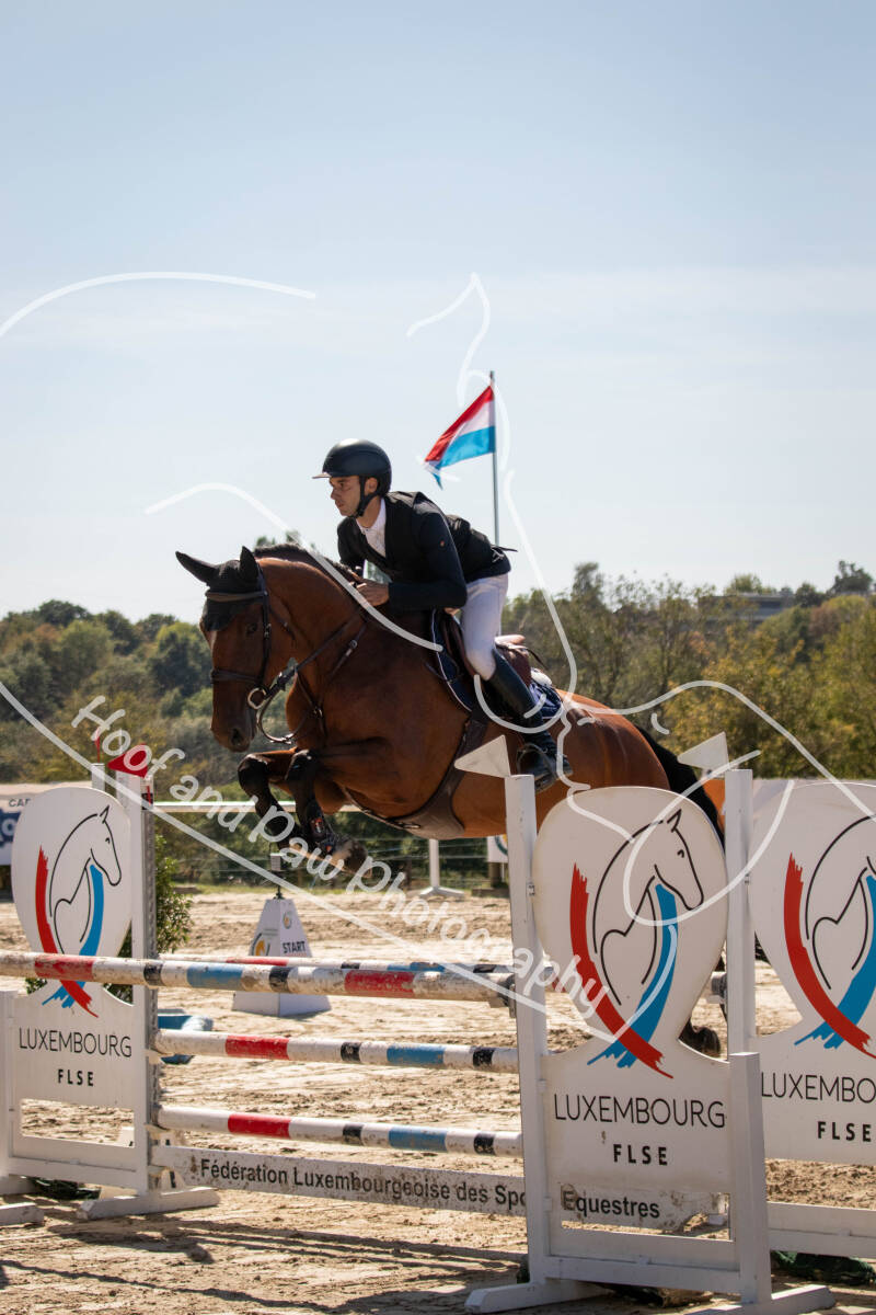 bouferterhaff-jumping-84-standard-h8n8md.jpg