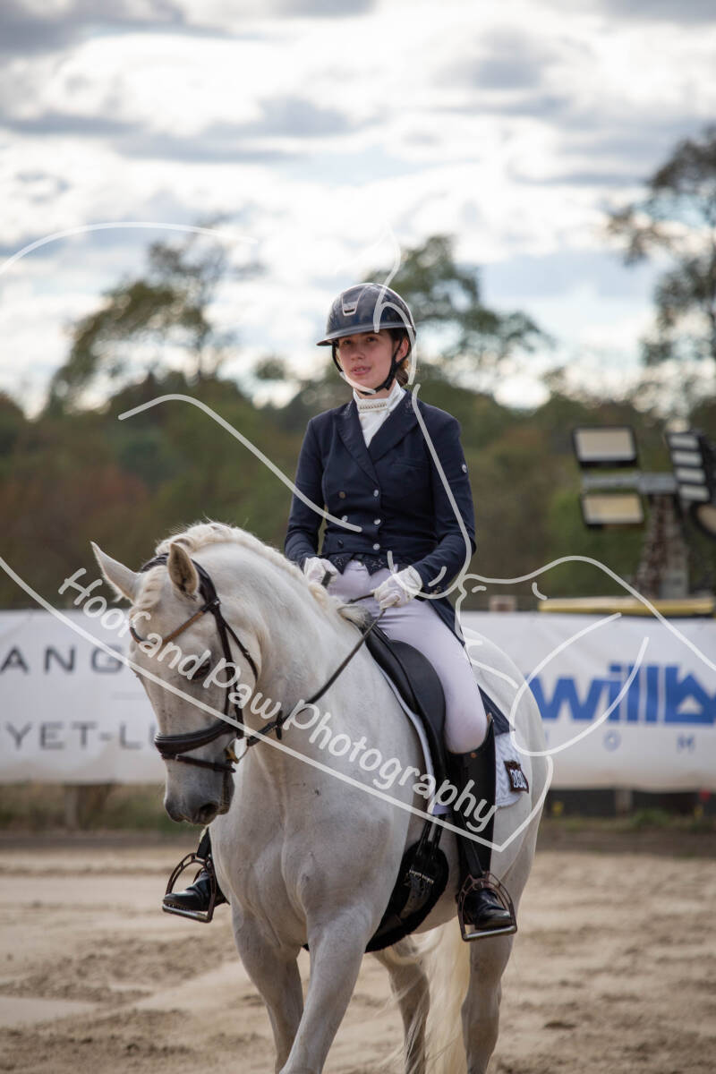 bouferterhaff-jumping-84-standard-ivgsy8.jpg
