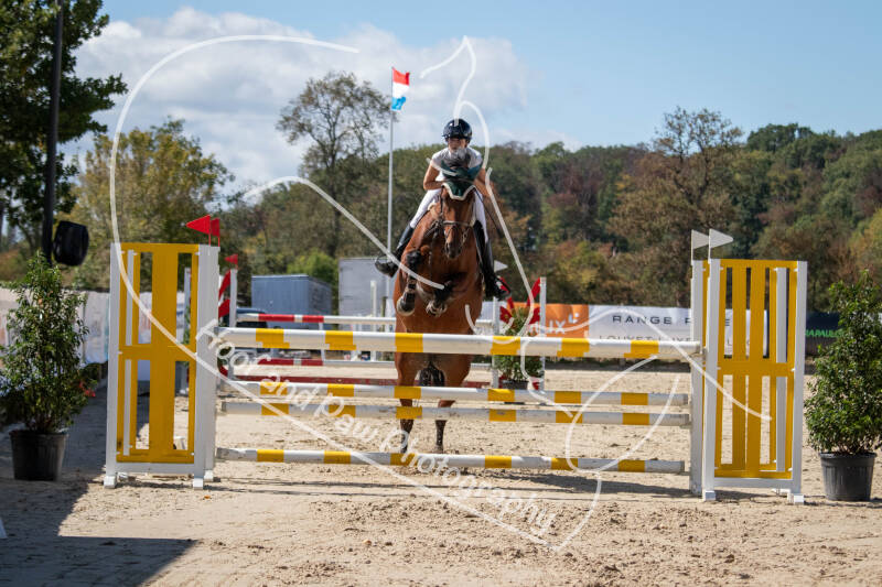 bouferterhaff-jumping-84-standard.jpg