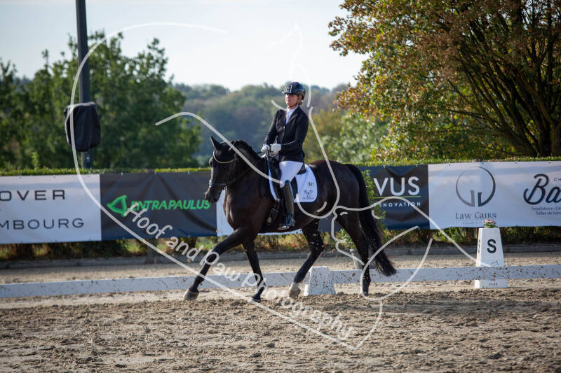 bouferterhaff-jumping-85-standard-hyss70.jpg