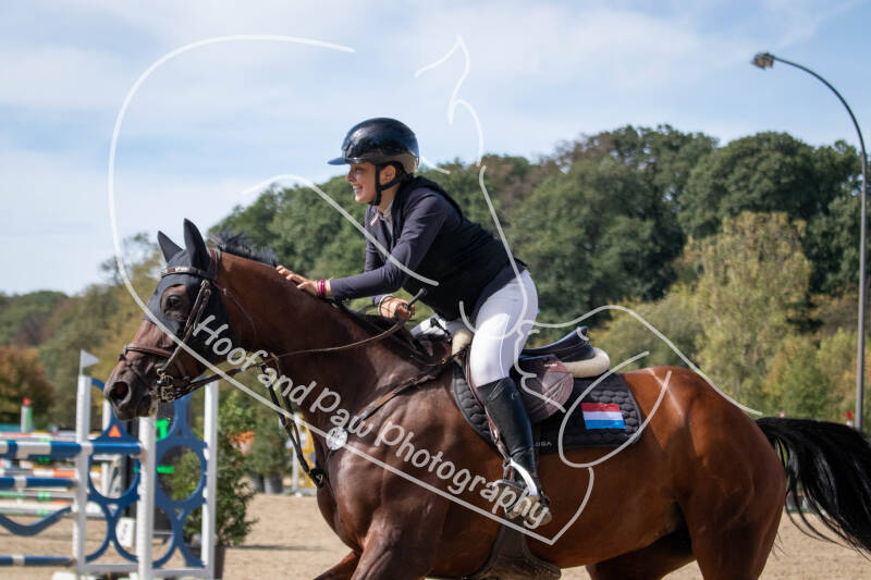 bouferterhaff-jumping-85-standard-id7oo9.jpg