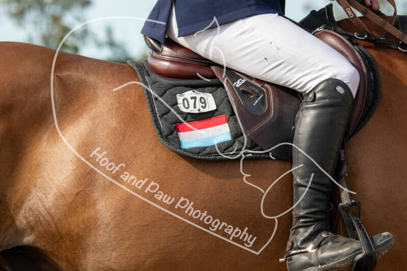 bouferterhaff-jumping-85-standard-jwies1.jpg