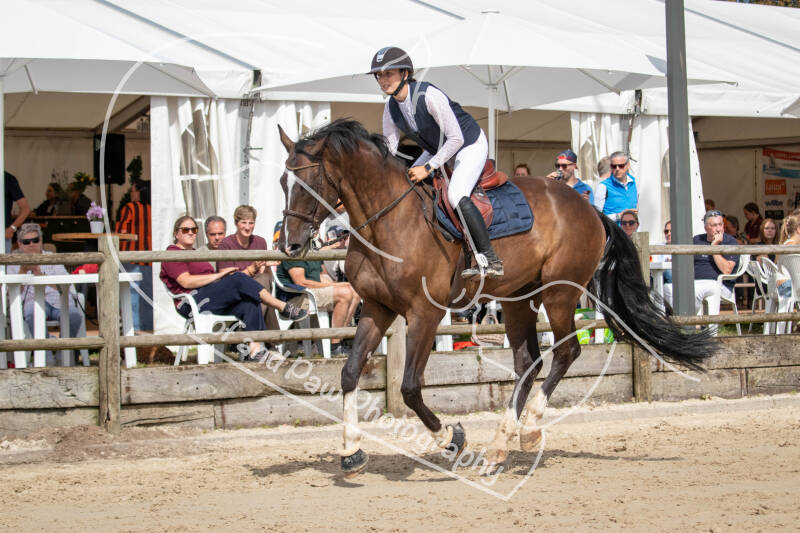bouferterhaff-jumping-85-standard-nn87zi.jpg