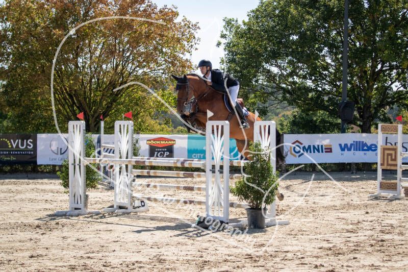 bouferterhaff-jumping-85-standard-pxln9u.jpg