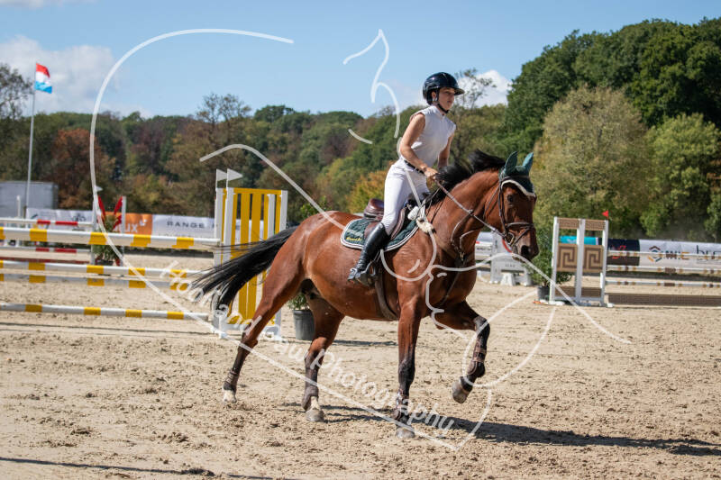 bouferterhaff-jumping-85-standard.jpg