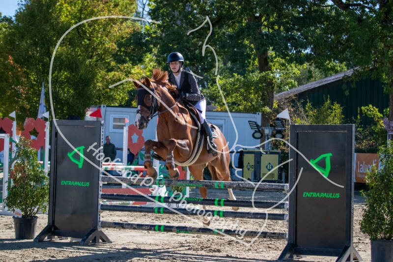 bouferterhaff-jumping-86-standard-21pyet.jpg