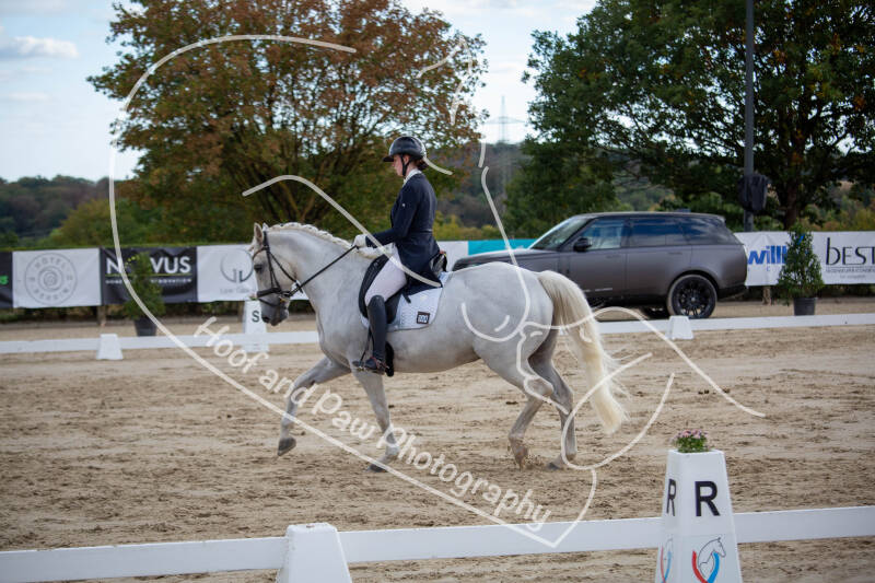bouferterhaff-jumping-86-standard-50tpk2.jpg