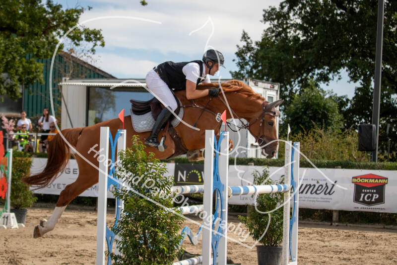 bouferterhaff-jumping-86-standard-cfyvwl.jpg