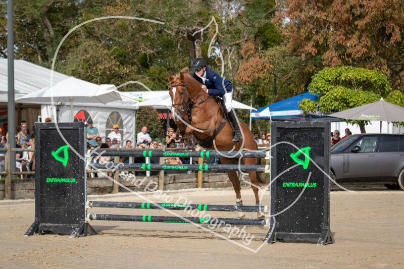 bouferterhaff-jumping-86-standard-nwr629.jpg