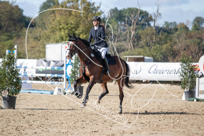 bouferterhaff-jumping-86-standard-ro6bkk.jpg