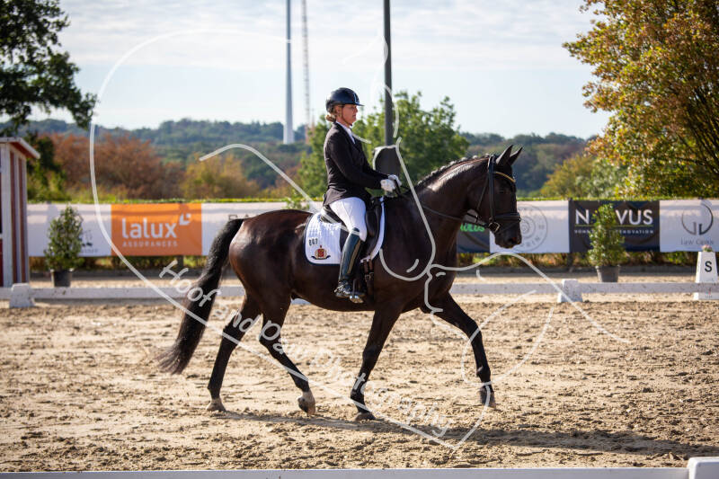 bouferterhaff-jumping-86-standard-uvo503.jpg
