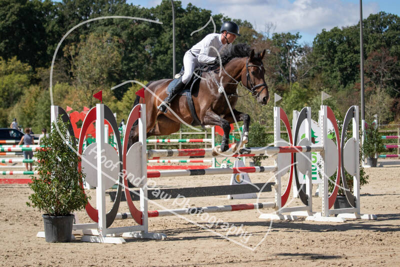bouferterhaff-jumping-86-standard.jpg