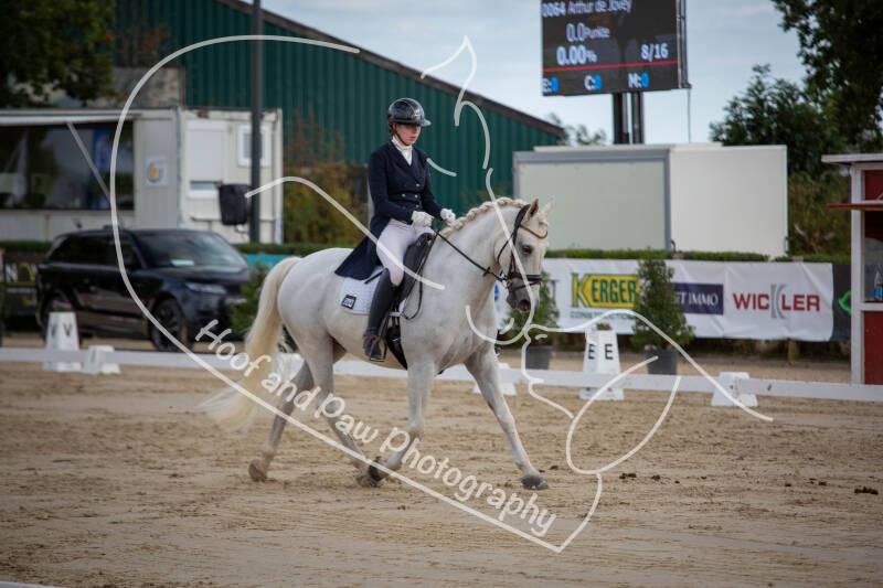 bouferterhaff-jumping-87-standard-d0gbcn.jpg