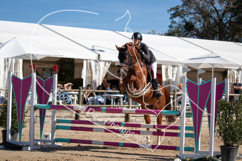 bouferterhaff-jumping-87-standard-e4wr0t.jpg