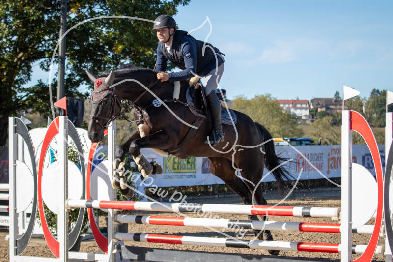 bouferterhaff-jumping-87-standard-kew355.jpg