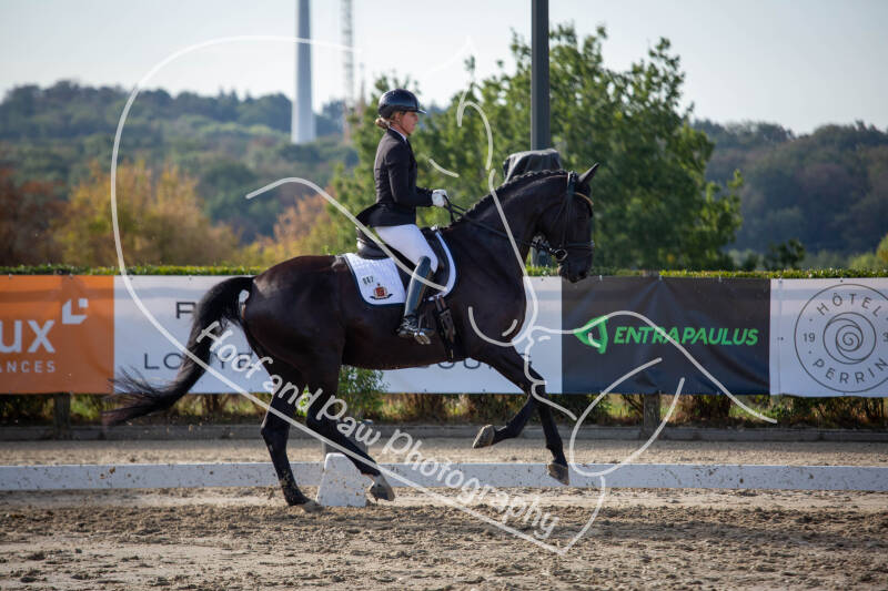 bouferterhaff-jumping-87-standard-l3bh3f.jpg