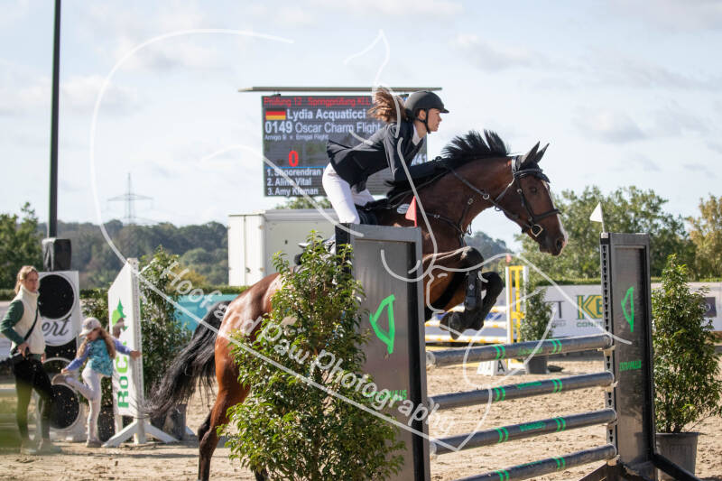 bouferterhaff-jumping-87-standard-yh94iq.jpg