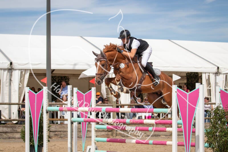 bouferterhaff-jumping-88-standard-5p9bq1.jpg