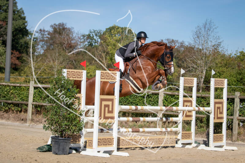 bouferterhaff-jumping-88-standard-colg57.jpg