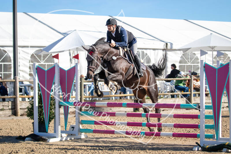 bouferterhaff-jumping-88-standard-dbo6sr.jpg