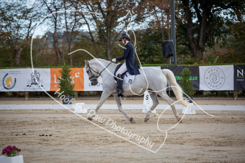 bouferterhaff-jumping-88-standard-znk0sf.jpg