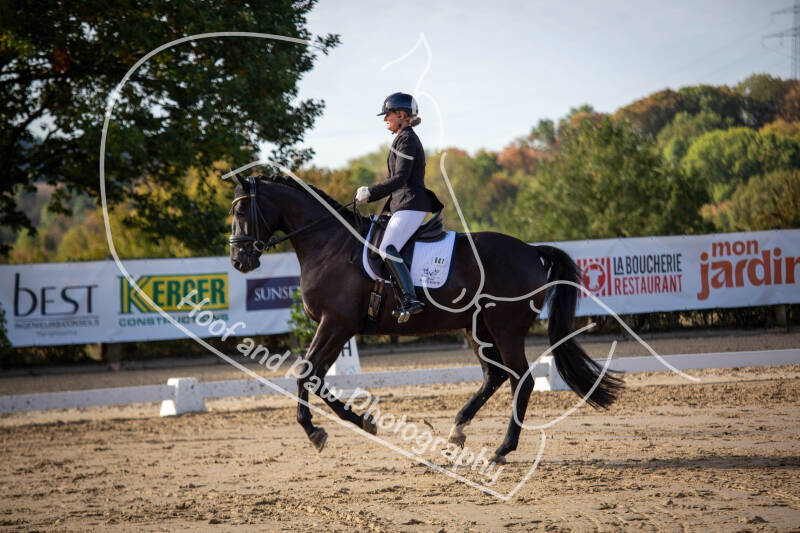 bouferterhaff-jumping-88-standard-zrjcuh.jpg