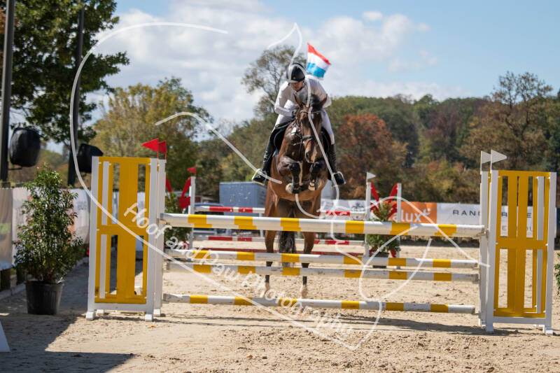 bouferterhaff-jumping-88-standard.jpg
