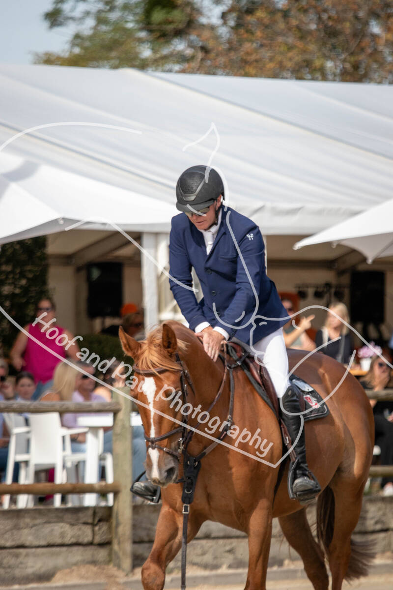 bouferterhaff-jumping-89-standard-b76g88.jpg