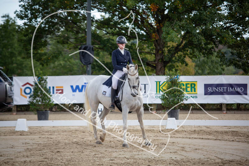 bouferterhaff-jumping-89-standard-erwnj8.jpg