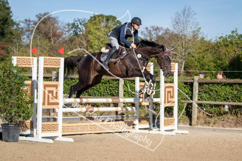 bouferterhaff-jumping-89-standard-i52jzd.jpg
