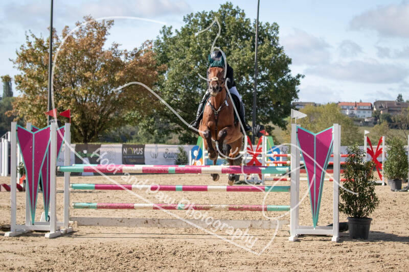 bouferterhaff-jumping-89-standard-mrq8ir.jpg