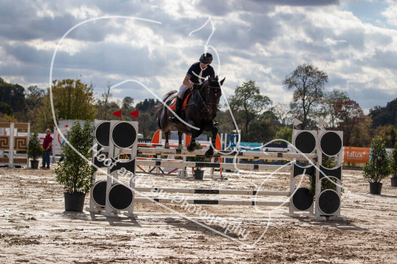 bouferterhaff-jumping-89-standard-swqu5e.jpg