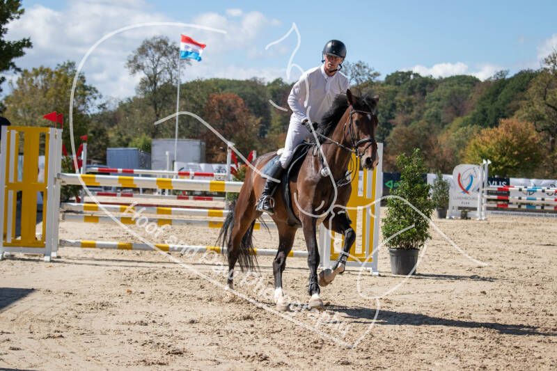 bouferterhaff-jumping-89-standard.jpg