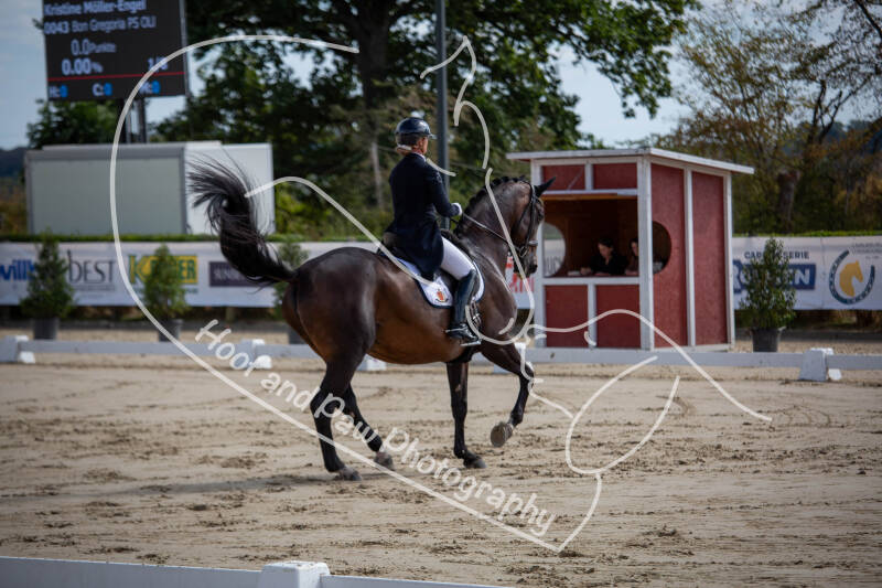 bouferterhaff-jumping-9-standard-1jlu6m.jpg