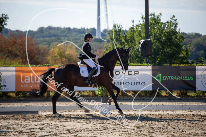 bouferterhaff-jumping-9-standard-37ksaa.jpg