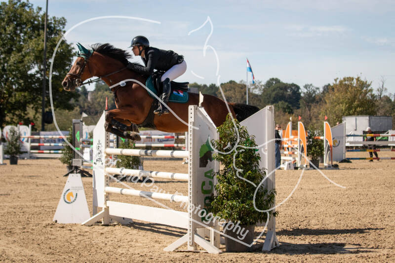 bouferterhaff-jumping-9-standard-4hou3j.jpg