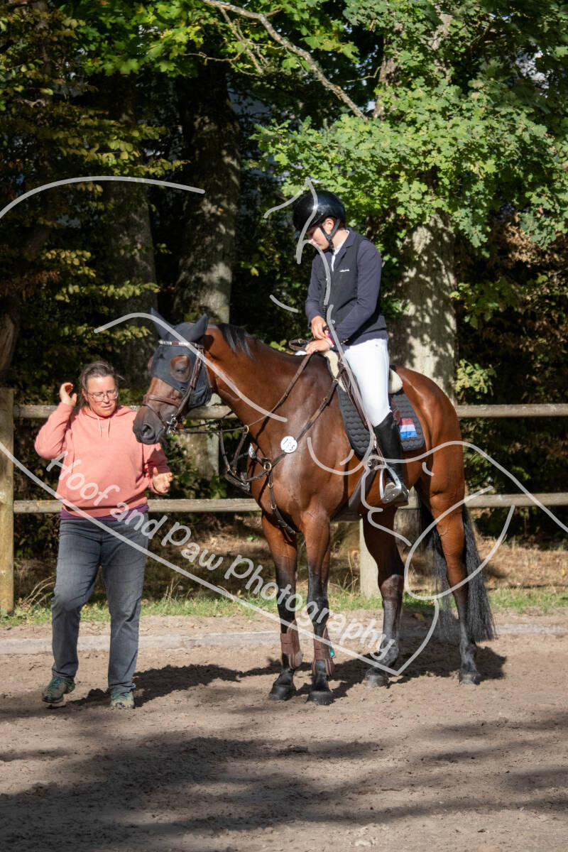 bouferterhaff-jumping-9-standard-5qyorr.jpg